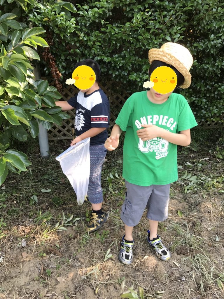 電子請求受付システム　お知らせ一覧.url